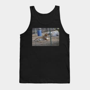 Tiger Tank Top